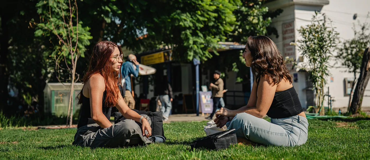 Banner image from the University of Santiago Chile website