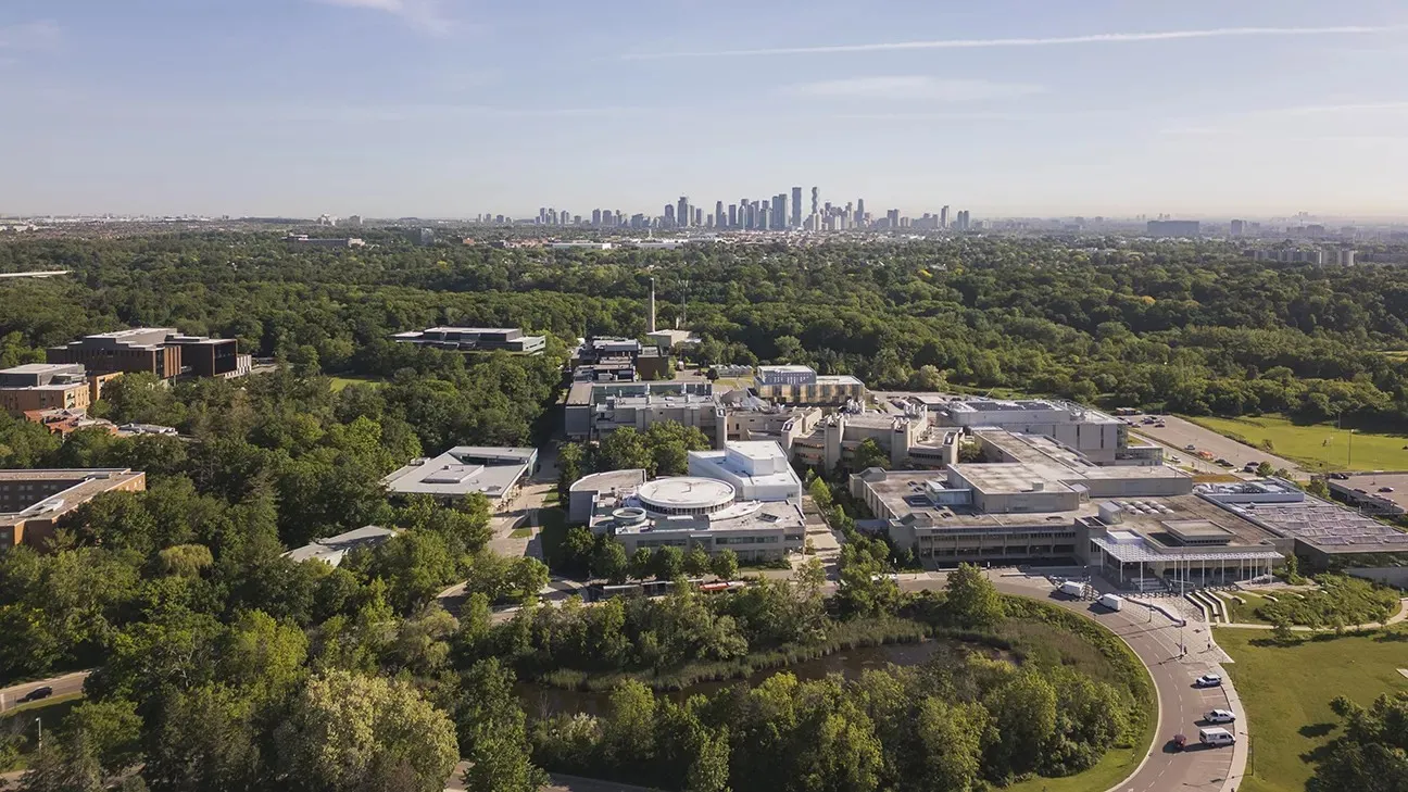 Banner image from the University of Toronto, Mississauga website