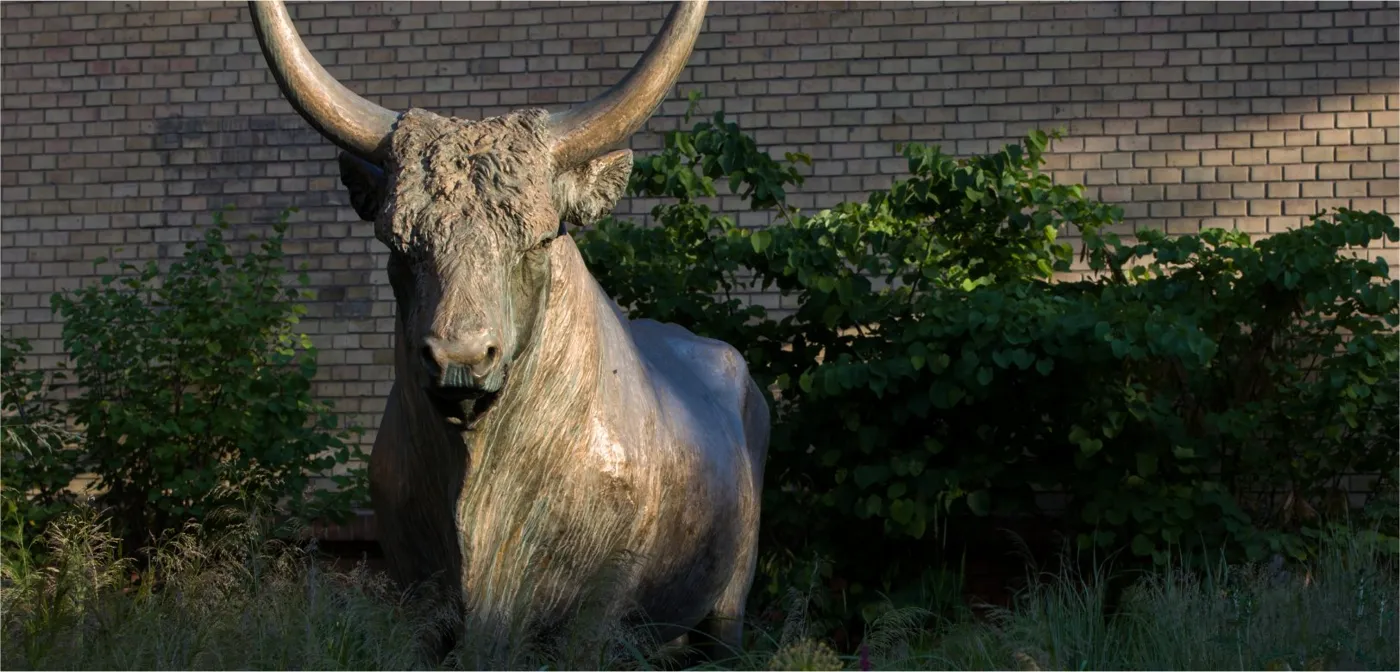Banner image from the University of Veterinary Medicine website