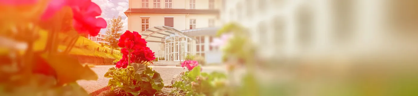 Banner image from the Vinzenz Pallotti University website
