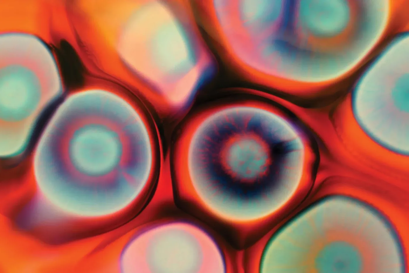 Banner image from the Western Sydney University website