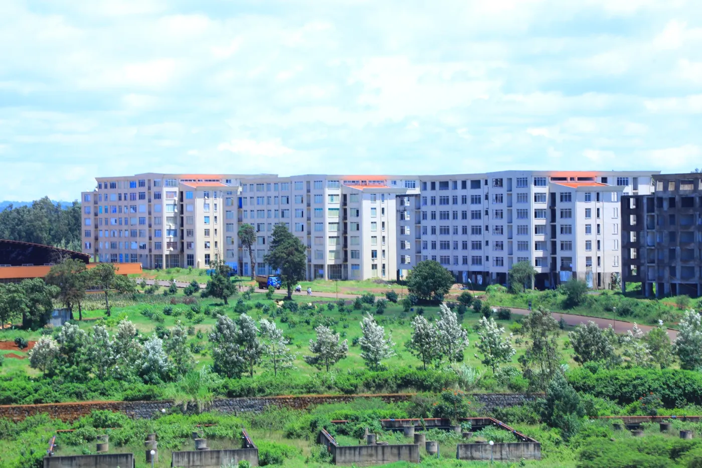 Banner image from the Wolaita Sodo University website