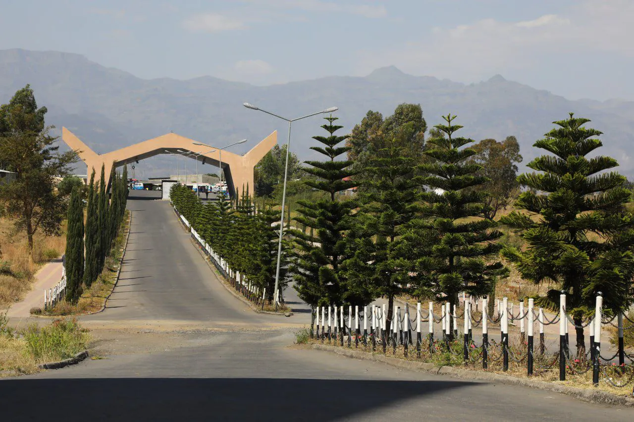 Banner image from the Woldia University website