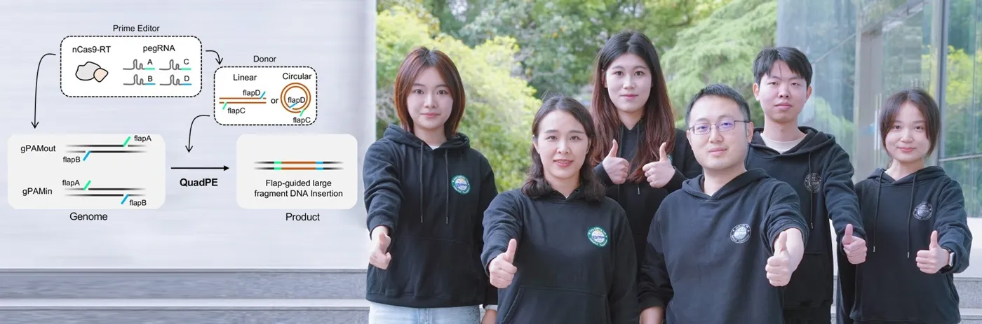 Banner image from the Wuhan University School of Medicine website