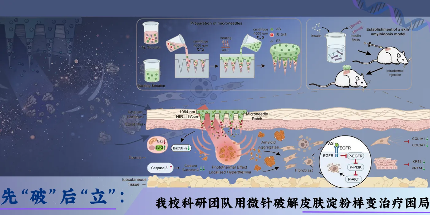 Banner image from the Xiamen Medical College website