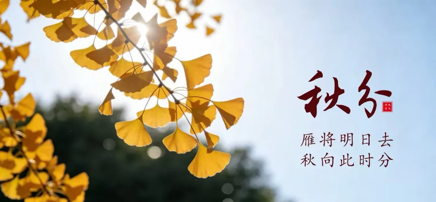 Banner image from the XiangYang Auto Vocational technical College website