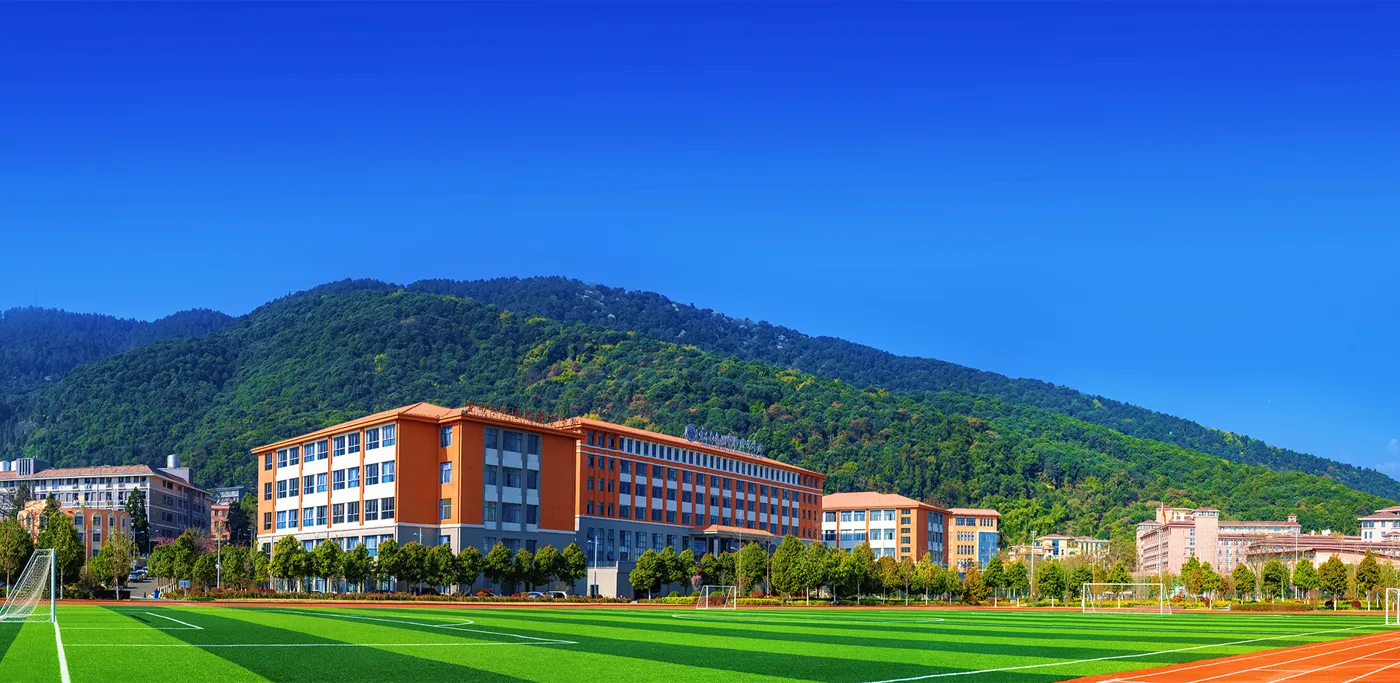 Banner image from the Yunnan Vocational College of Culture & Art website