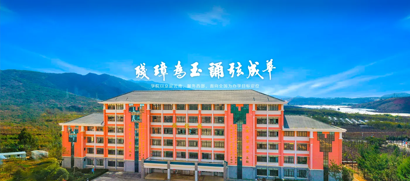 Banner image from the Yunnan Vocational College of Special Education website