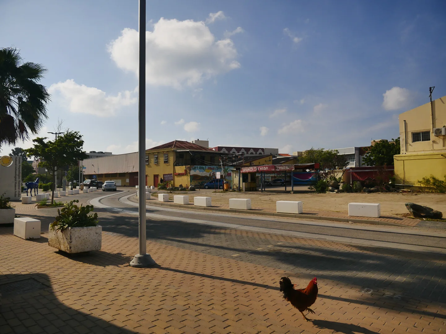 Schelpstraat with planters, shops, trees and a rooster in Oranjestad