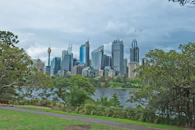 Sydney towers across water, with trees, lawn and a path in the foreground