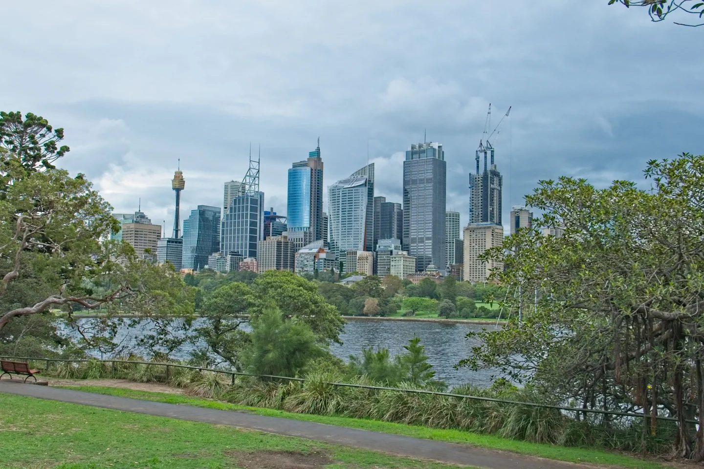 Sydney towers across water, with trees, lawn and a path in the foreground