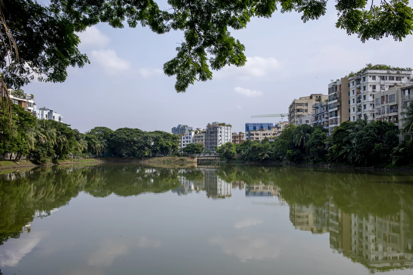 Water and greenery at Gulshan Lake in Dhaka