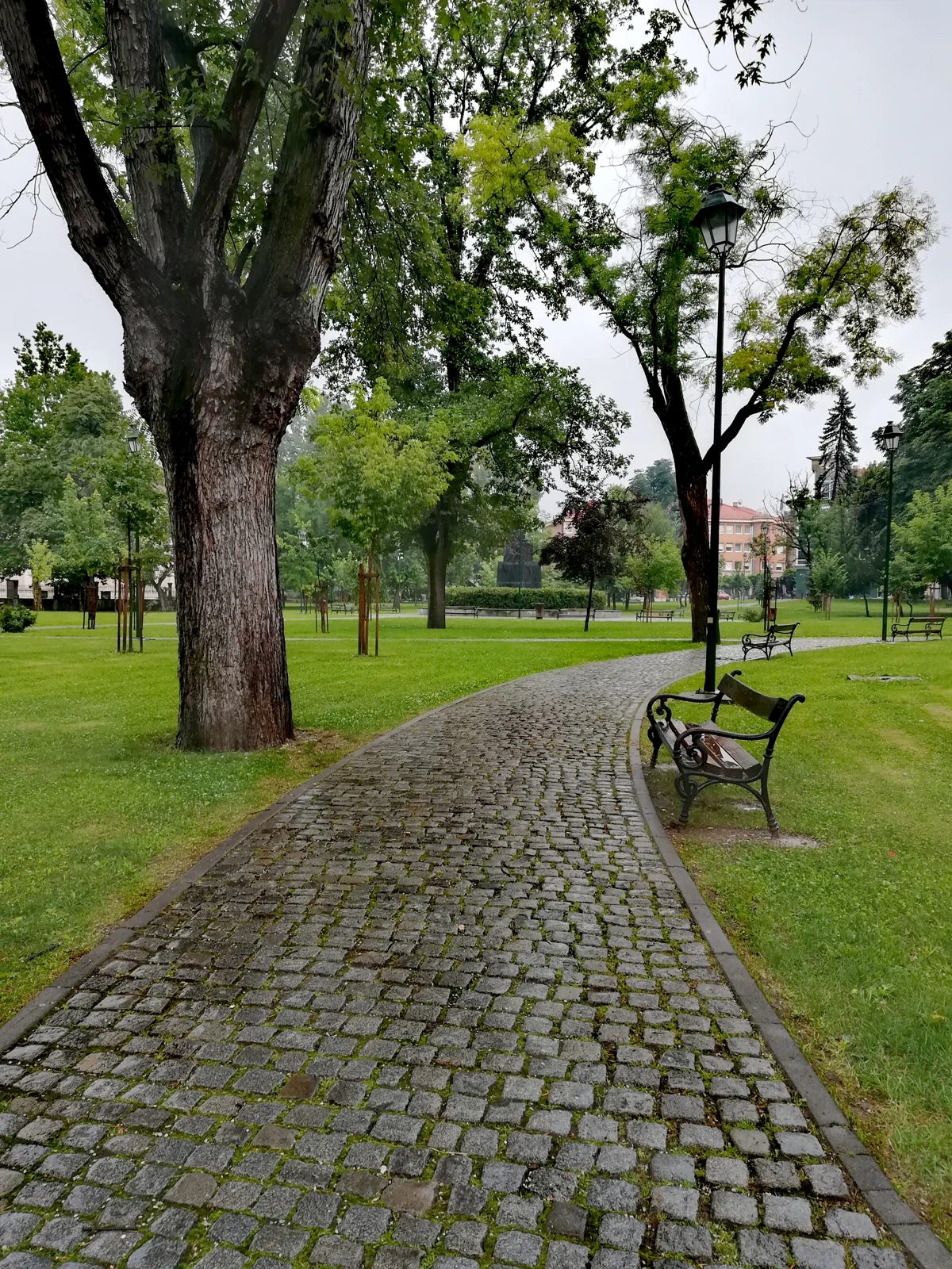Trees and a public park setting near the Pannonian lakes in Tuzla