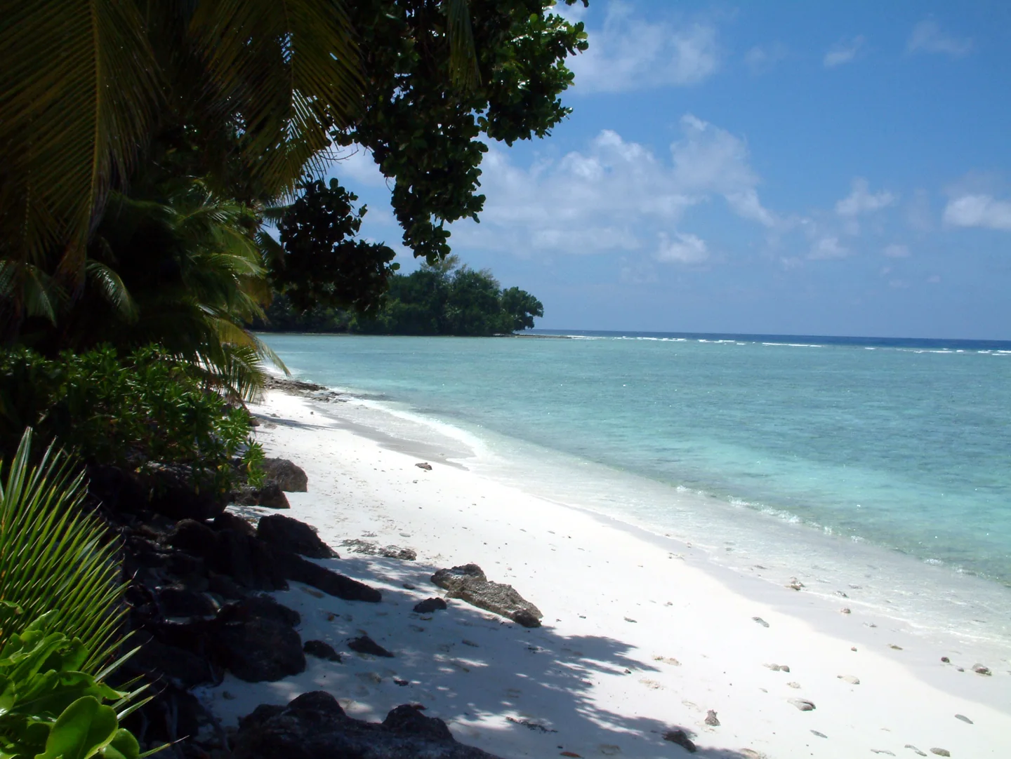 Palms leaning toward a pale sandy beach and turquoise water on Diego Garcia