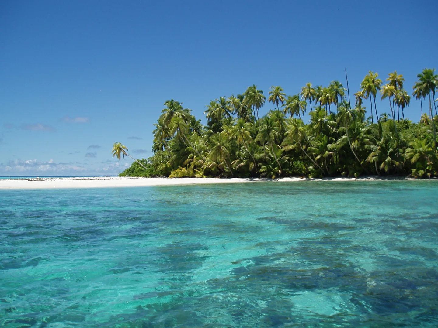 White sand, palms and clear turquoise shallows at Salomon Atoll