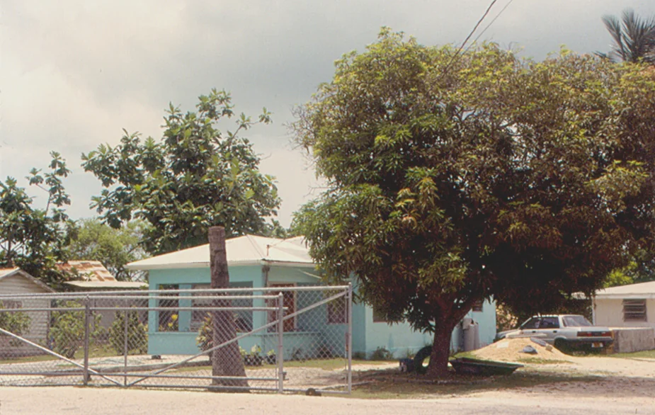 A detached house and planted garden in George Town