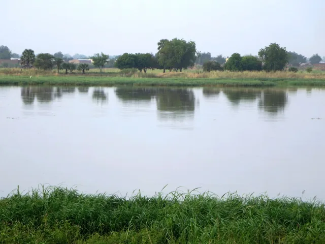 Chari River and its banks beside N'Djamena