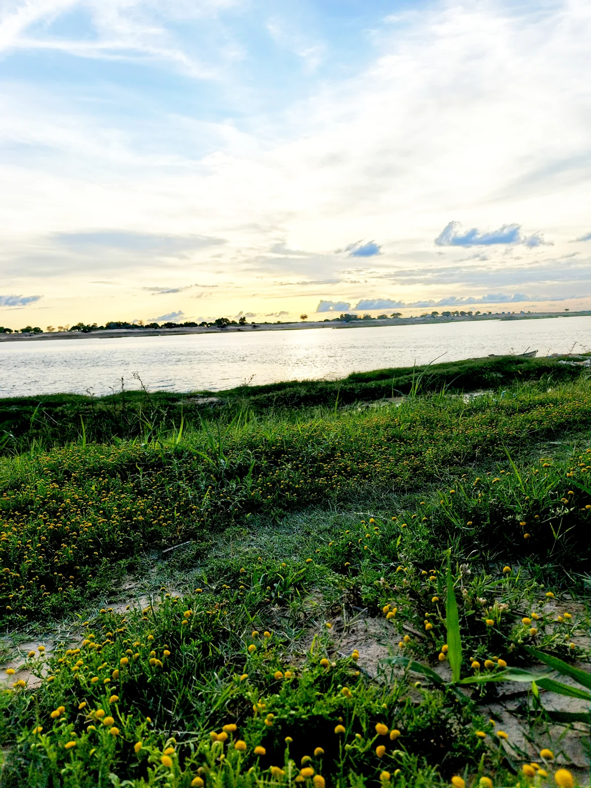 Sunset and vegetation beside the Chari River in N'Djamena