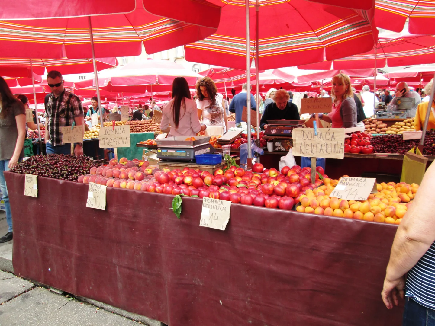 Market stalls and umbrellas at Dolac market in Zagreb