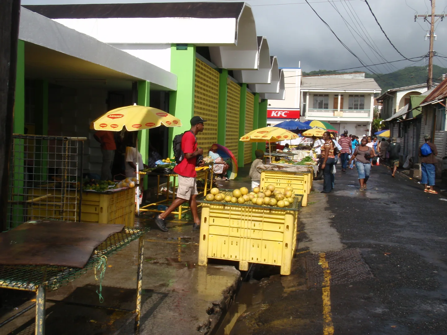 Produce stalls and shoppers at Roseau market