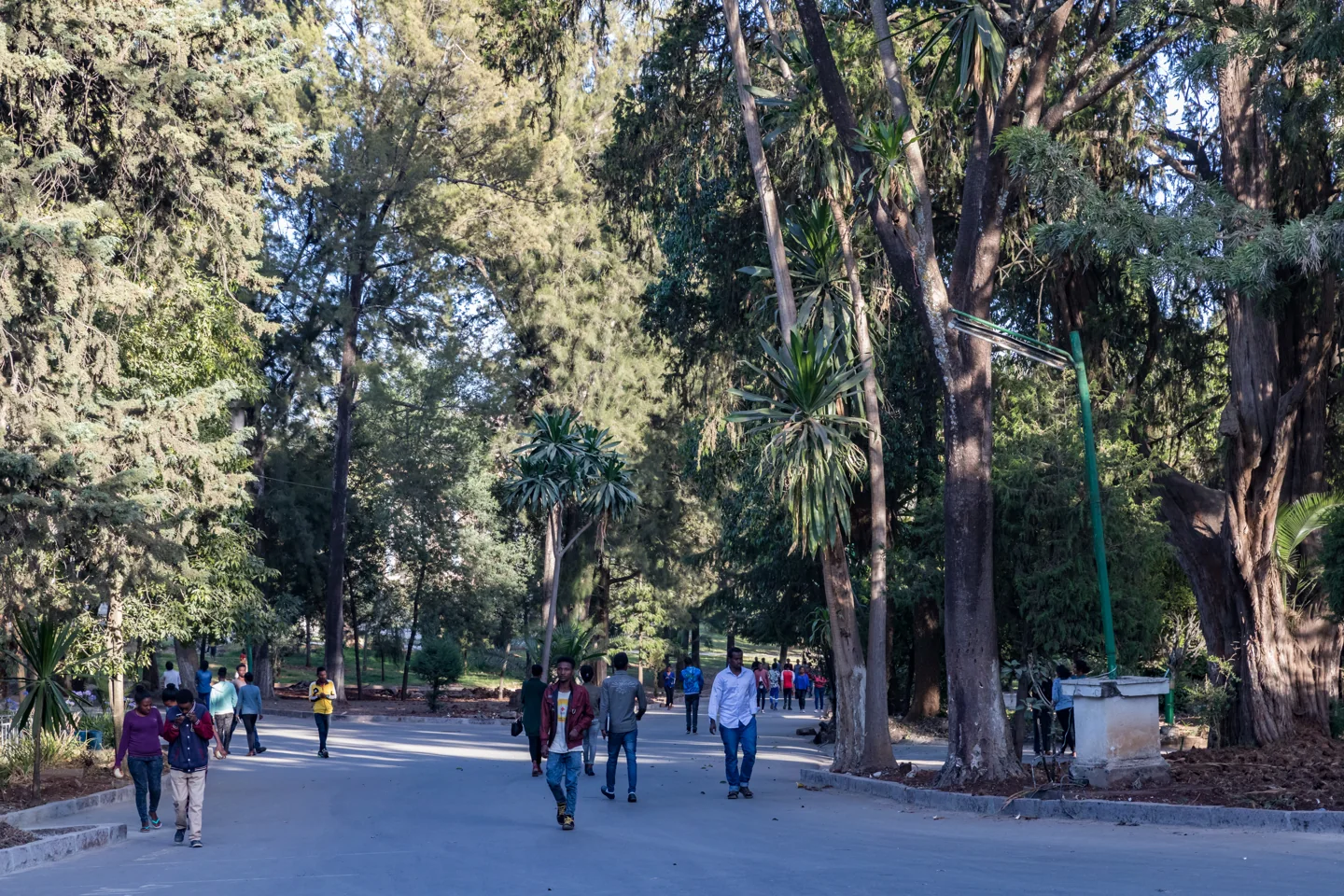 Campus grounds at Addis Ababa University